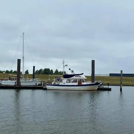 Seewolf 船上ホテル *