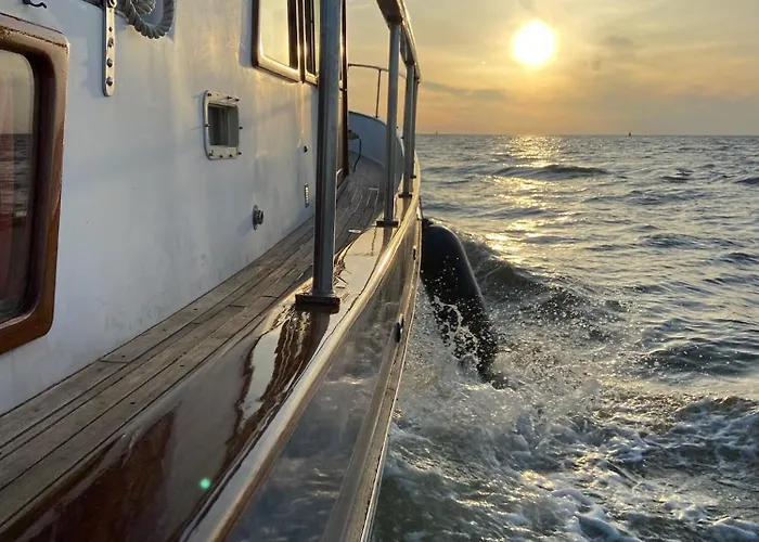 Seewolf 쿡스하펜